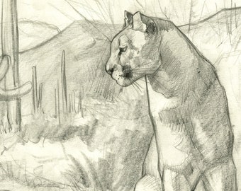Sonoran Cougar ORIGINAL DRAWING