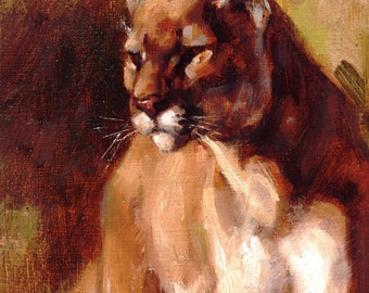 MOUNTAIN CAT Fine Art Print
