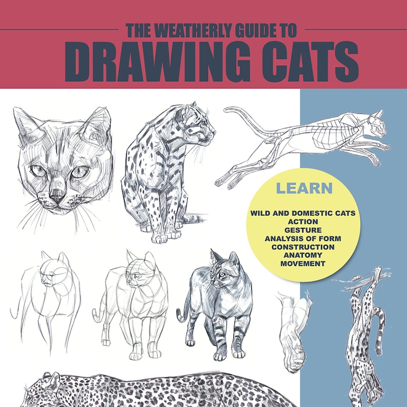 Ink Drawing Guide - Etsy