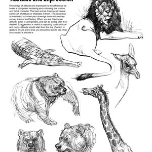 The Weatherly Guide to Drawing Animals image 10