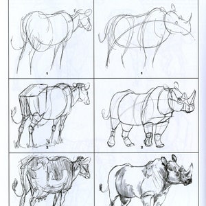 The Weatherly Guide to Drawing Animals image 8