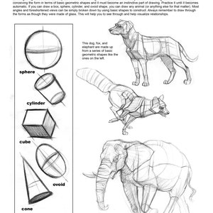 The Weatherly Guide to Drawing Animals image 3