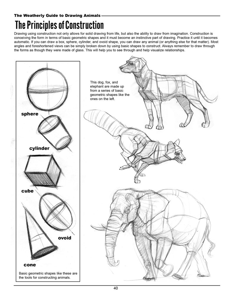 The Weatherly Guide to Drawing Animals image 3