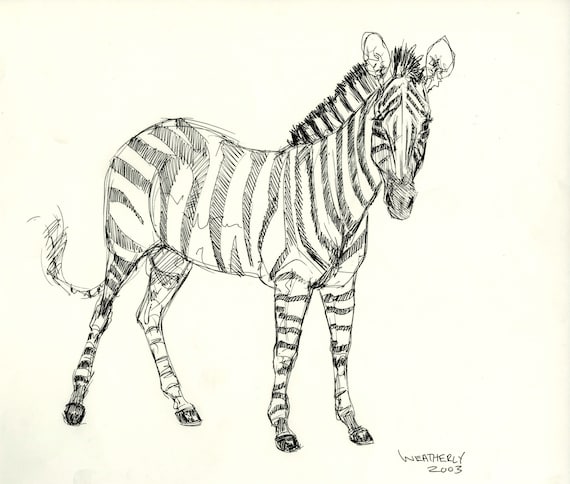 Zebra Sketch ORIGINAL DRAWING
