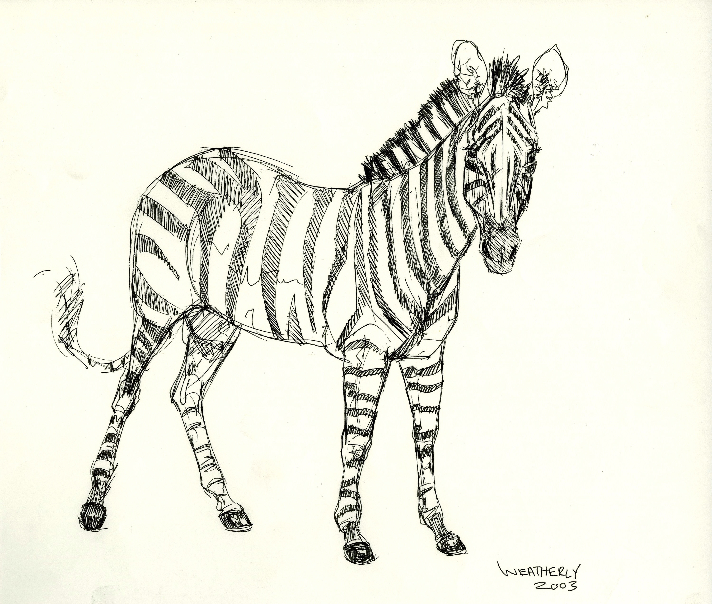 肉筆ペン画！1996年6月Yamitaro作タイトル「ZEBRA」 ひろっ
