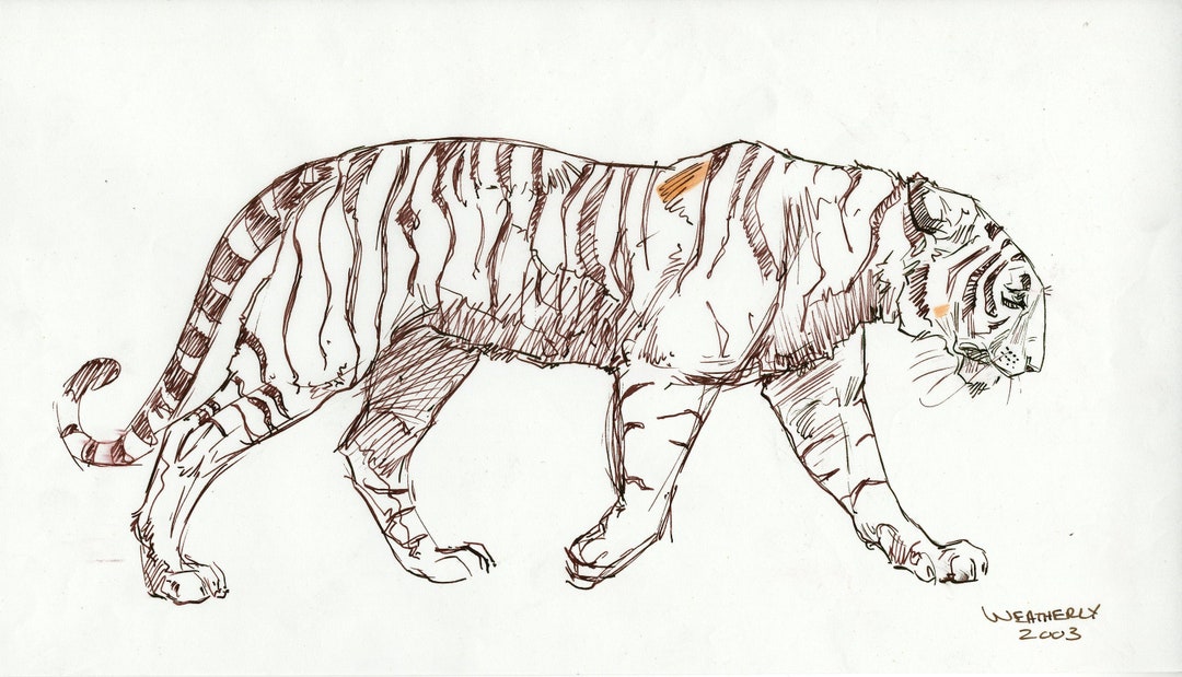 Walking Tiger ORIGINAL DRAWING - Etsy
