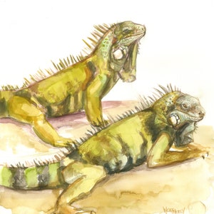 Iguanas Verdes PINTURA ORIGINAL DE ACUARELA