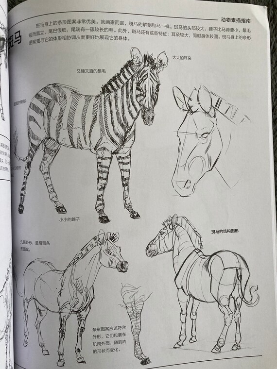 The Weatherly Guide to Drawing Animals CHINESE VERSION - Etsy The Weatherly Guide to Drawing Animals CHINESE VERSION - Etsy