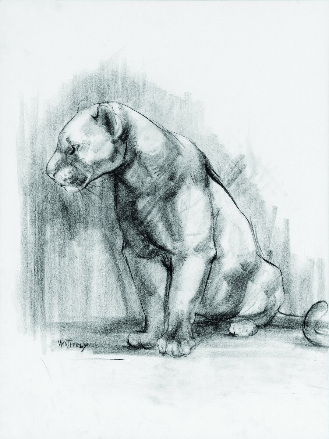 CAT 絵画　イラスト　ドローイング 猫 絵画 イラスト ドローイング - メルカリ