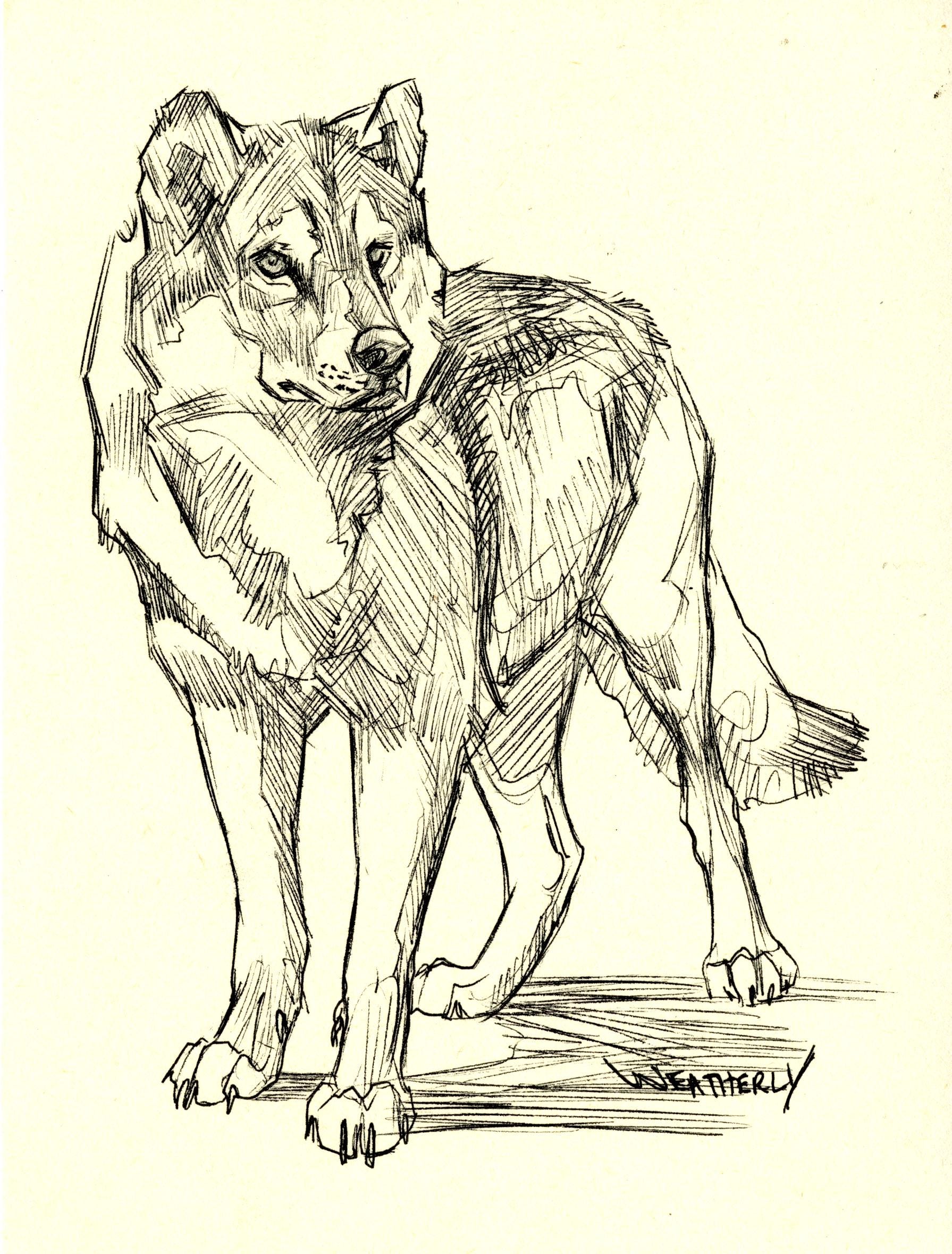 Alpha ORIGINAL DRAWING - Etsy