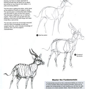 The Weatherly Guide to Drawing Animals image 6