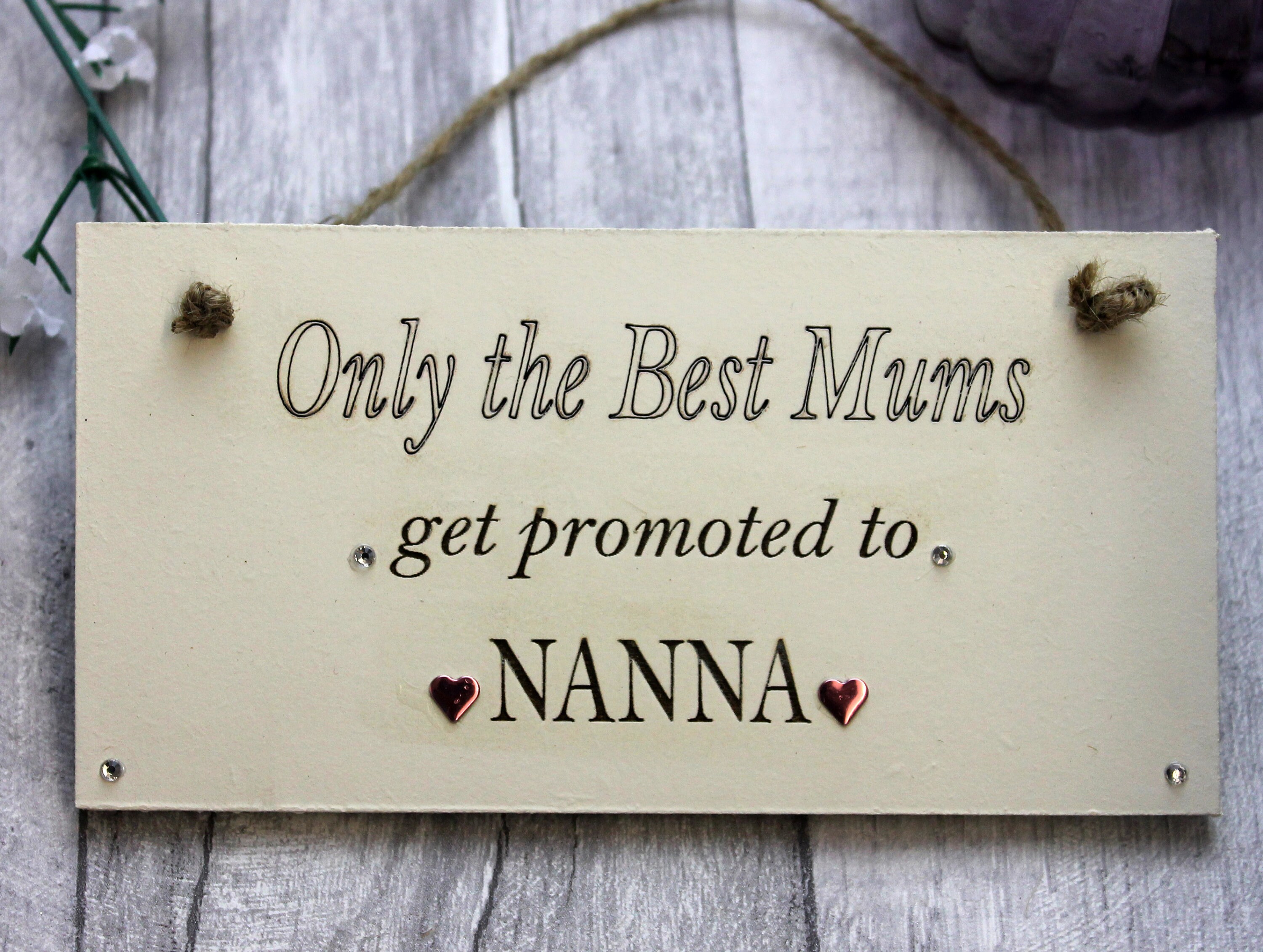 Only The Best Mums Get Promoted to Gran mdf sign plaque gift mothers day
