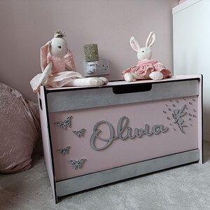 May include: A pink toy chest with a silver trim and the name "Olivia" written on the front. The chest is decorated with silver butterflies and a silver fairy with a sparkly dress. Two plush bunny toys are sitting on top of the chest.