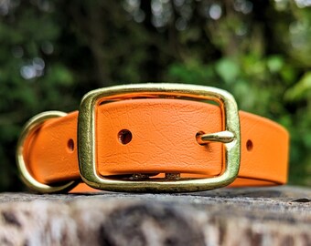 Waterproof Dog Collar in Burnt Orange