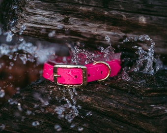 Waterproof Dog Collar in Flamingo Pink