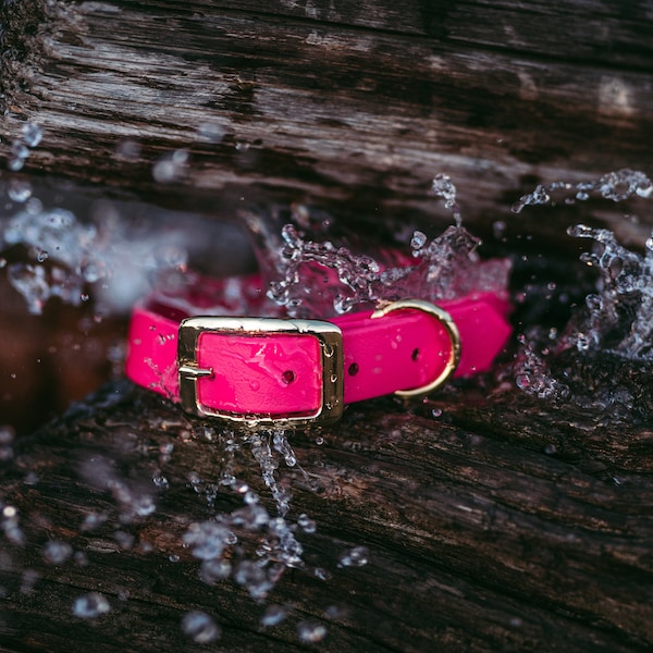 Waterproof Dog Collar in Flamingo Pink