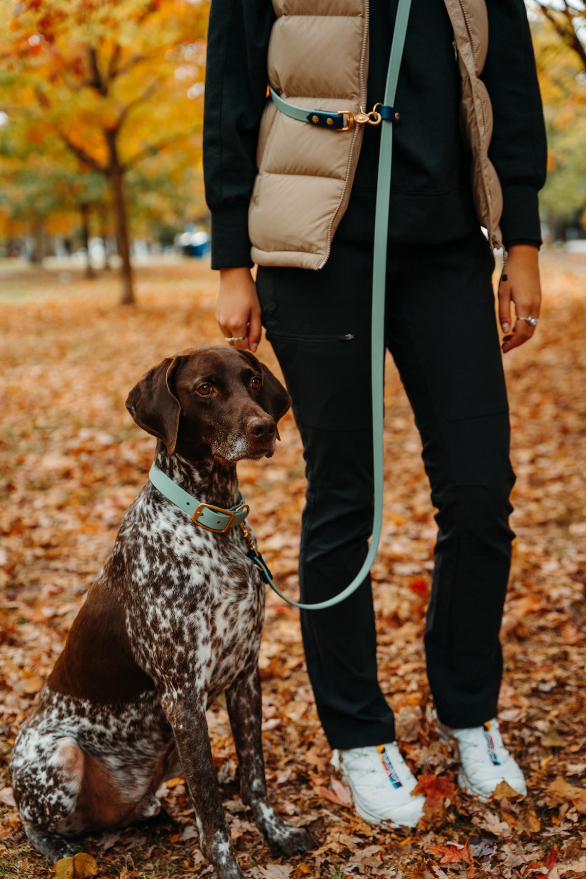 A woman and a German Short Haired Pointer dog wearing a Hands Free Biothane Dog Leash.