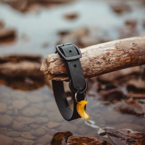 Collier pour chien imperméable en biothane en noir de jais classique