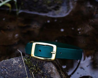 Waterproof Biothane Dog Collar in Hunter Green