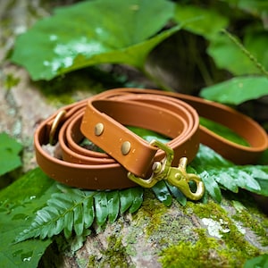 Waterproof Leash - Any Colour