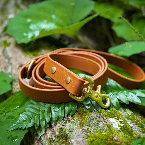 Hands Free Waterproof Leash Any Colour Etsy Canada