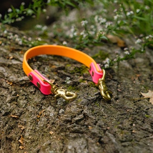 Waterproof Biothane Safety Strap