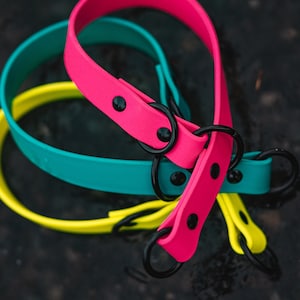 Waterproof Biothane Slip Collar image 2