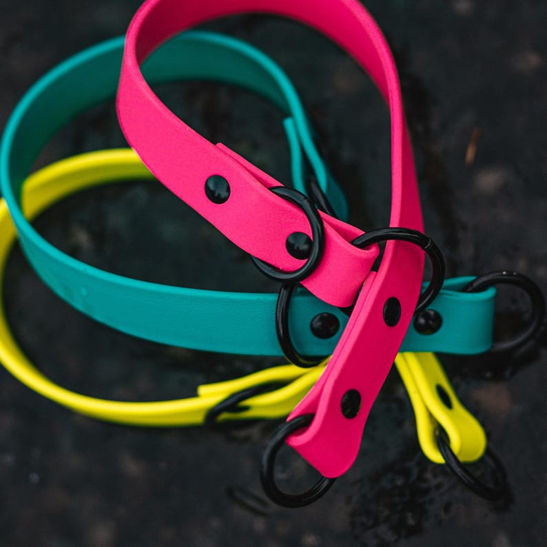 Waterproof Biothane Slip Collar image 2