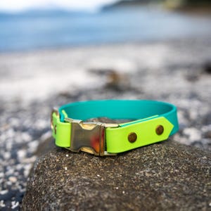 Waterproof Biothane Two Tone Quick Release Buckle Dog Collar image 2