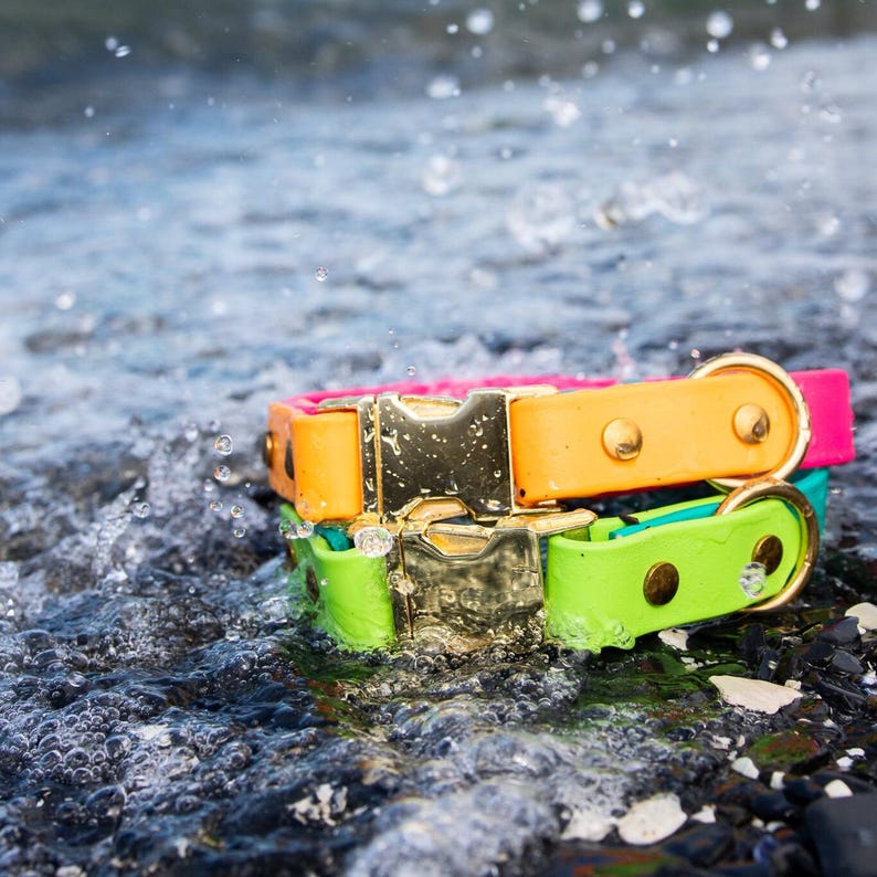 Waterproof Biothane Two Tone Quick Release Buckle Dog Collar image 11