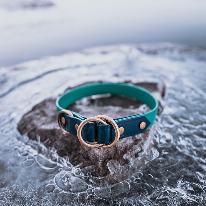 Waterproof Biothane Two Tone Slip Collar image 9