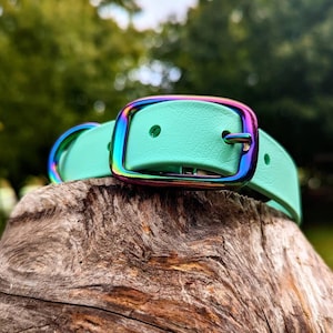 Wasserdichtes Biothane Hundehalsband in Meergrün