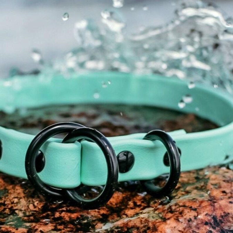 Waterproof Biothane Slip Collar image 14
