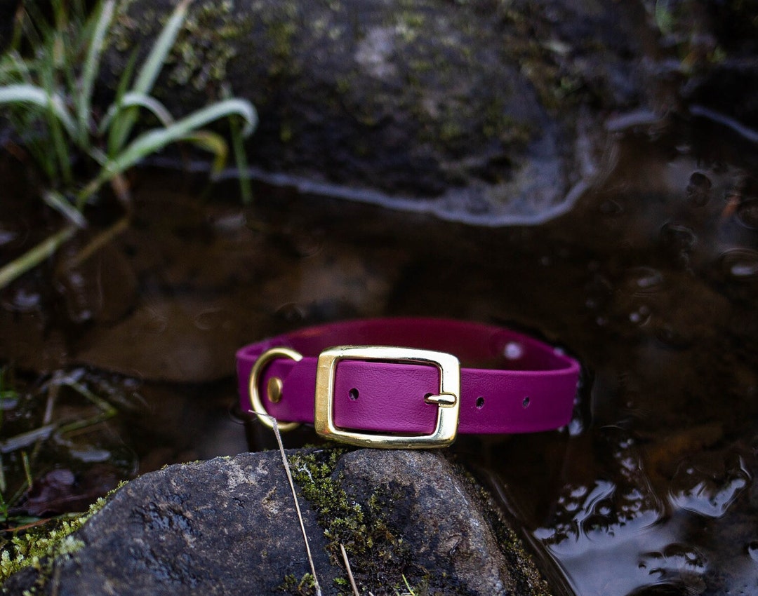 Waterproof Dog Collar in Wine Burgundy Merlot Etsy Canada