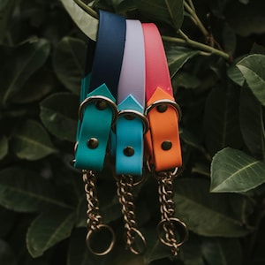 Waterproof Biothane Two Tone Martingale Collar