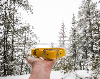 Waterproof Dog Collar in Sunshine Yellow