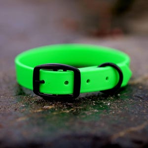 Wasserdichtes Biothane Hundehalsband in Neon Grün mit Kleeblattmotiv