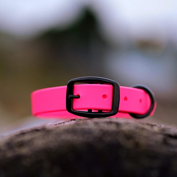 Waterproof Biothane Dog Collar in Neon Pink Bloom