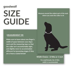 Waterproof Biothane Two Tone Quick Release Buckle Dog Collar image 6