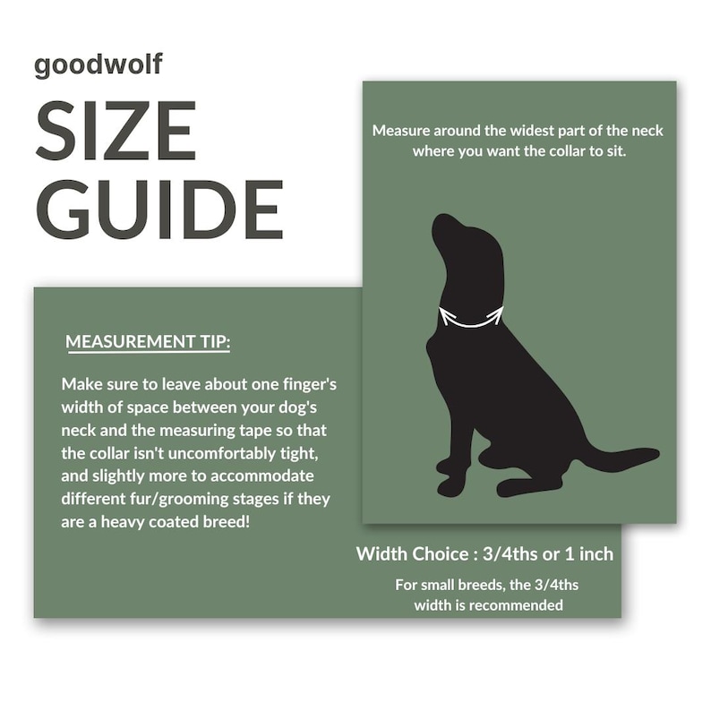Waterproof Biothane Two Tone Quick Release Buckle Dog Collar image 6