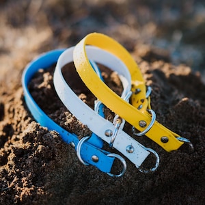 Waterproof Biothane Slip Collar image 1