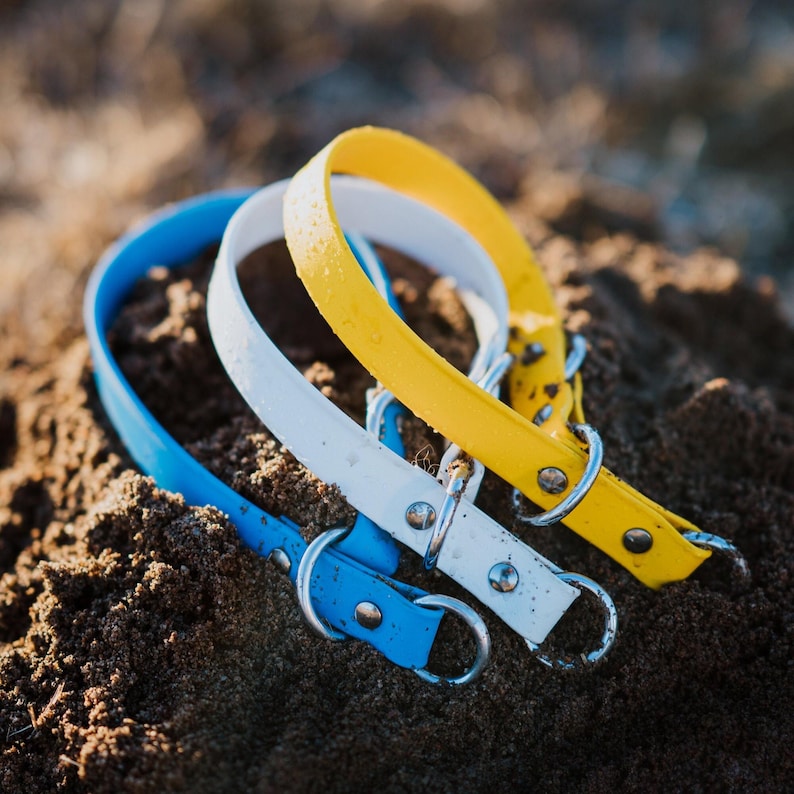 Waterproof Biothane Slip Collar image 1