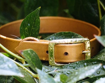 Waterproof Dog Collar in Yukon Gold