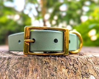 Waterproof Dog Collar in Sage Green