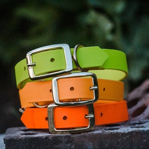 Waterproof Dog Collar in Blaze Orange Neon image 8