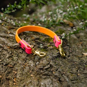 Op de afbeelding: Een oranje en roze hondenriem met messingkleurige sluitingen. De riem is gemaakt van flexibel materiaal en ligt op een getextureerd, bruin oppervlak. De riem heeft een helder kleurenschema.