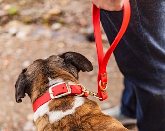 Waterproof Biothane Traffic Leash