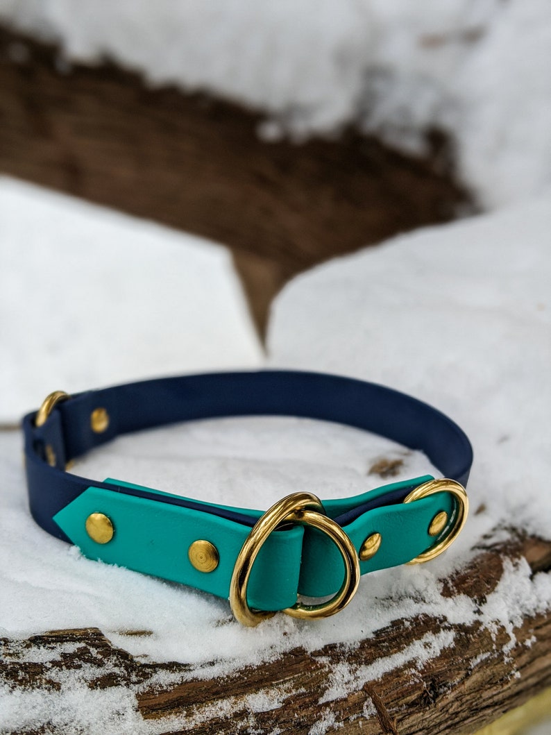 Waterproof Limited Slip Collar Any Colour Etsy