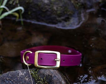 Waterproof Biothane Dog Collar in Wine, Burgundy, Merlot