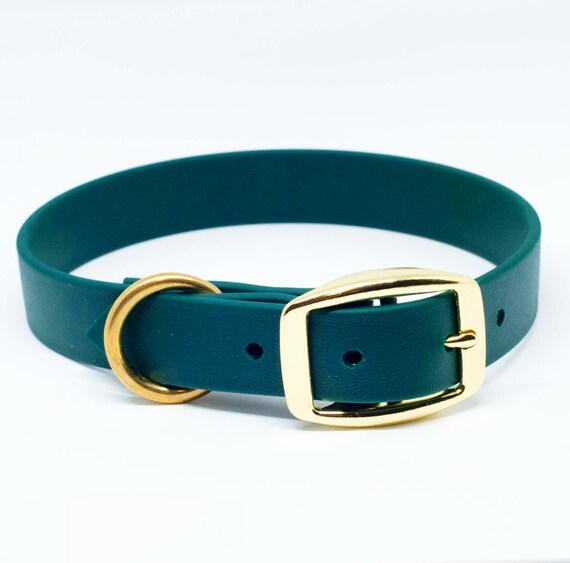 Waterproof Dog Collar in Hunter Green Etsy